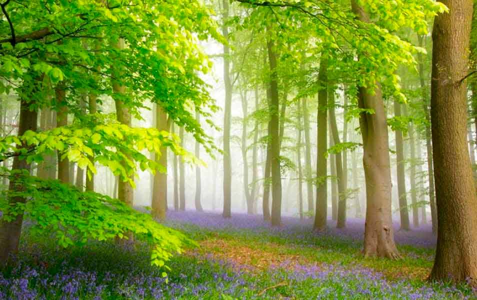 health-wellbeing-feat-bg-resp